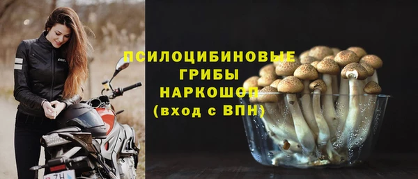 мескалин Алексин